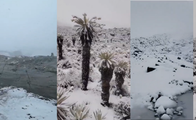  Nevado de El Cocuy se cubre de nieve tras más de 12 horas de precipitaciones y deja paisajes inéditos en varios puntos de la alta montaña

 – En un click