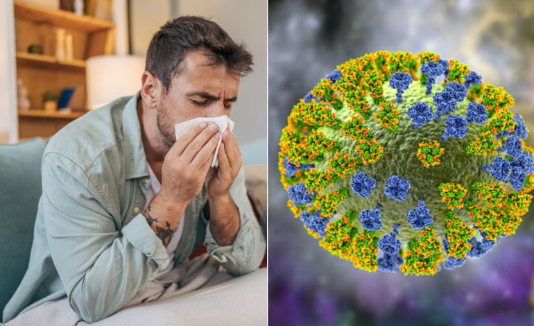  Valle del Cauca se prepara ante posible ola del virus de la influenza AH3N2

 – En un click