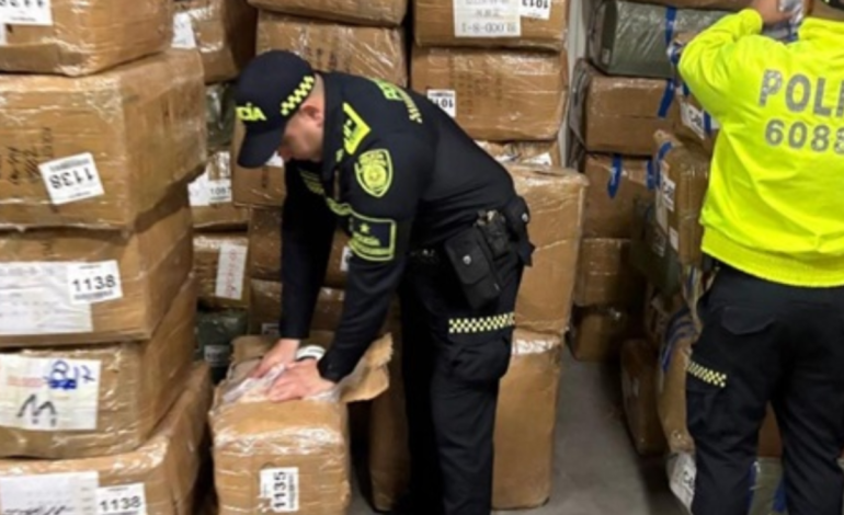 Incautan más de 6.600 pares de calzado ilegal en una bodega del barrio Colombia, en Medellín

 – En un click