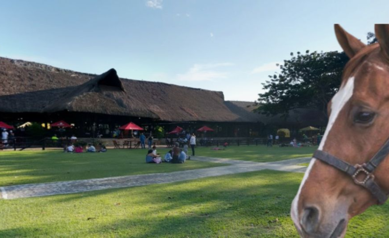  El exclusivo restaurante de Palmira donde murió una niña de cuatro años tras caer de un caballo se pronunció: ‘Estamos colaborando’

 – En un click