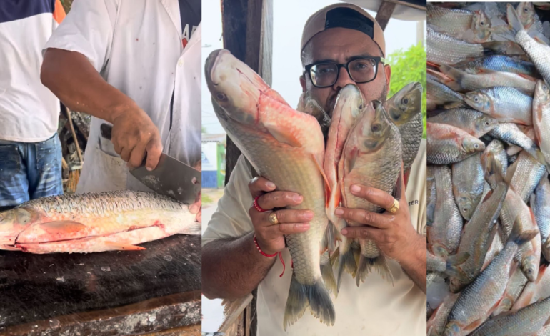  Bloqueos y amenazas en la vía no permiten el ingreso del ascenso de Bocachico

 – En un click