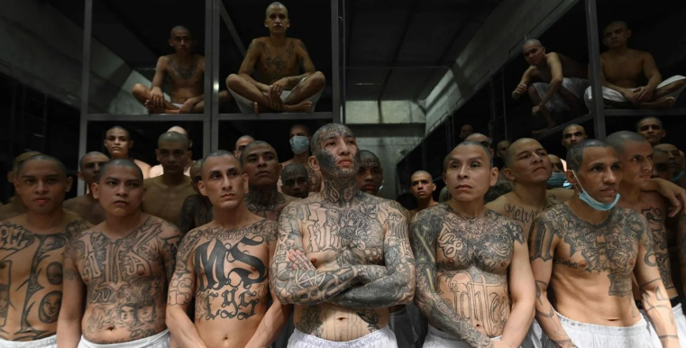  Sentencias sin precedentes en El Salvador: pandilleros de la MS-13 enfrentan cárceles de más de mil años – 

 – En un click