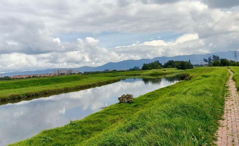  Con 150.000 árboles impulsan la recuperación del río Bogotá

 – En un click