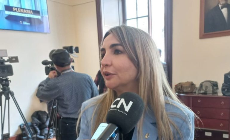  Nadia Blel y su dimisión como presidenta del Partido Conservador

 – En un click