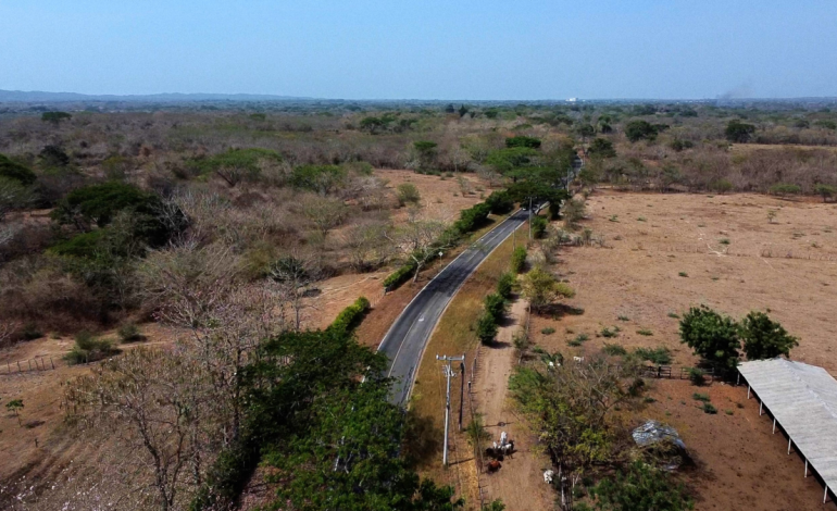  El gobierno informa que alcanza el 50% de su plan de desarrollo

 – En un click