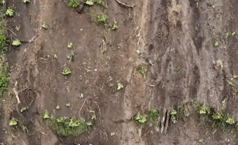  Esta es la identidad del hombre que murió enterrado junto a su hijo de 11 años tras una avalancha que destruyó su vivienda en San Pablo, Nariño

 – En un click