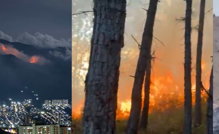  Incendio forestal en Cerro Quitasol lleva tres días activo

 – En un click