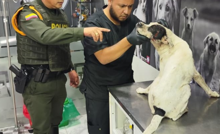  El caso de abuso que ha causado indignación en Barrancabermeja

 – En un click