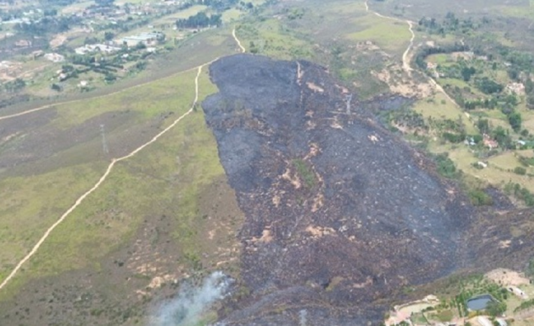  casas se salvaron de ser consumidas por el fuego

 – En un click