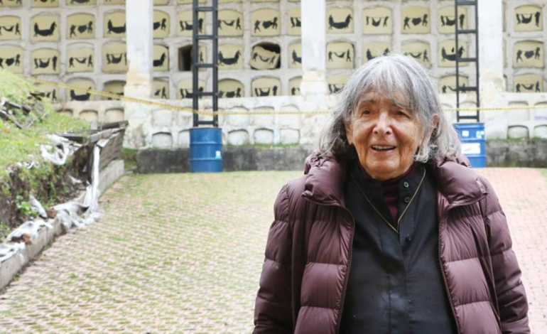  ¿Quién fue la reconocida pintora colombiana Beatriz González, fallecida este 9 de enero? Estas son sus obras más famosas y el legado que dejó

 – En un click