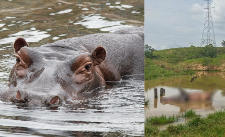  Investigan si murió tras una pelea territorial

 – En un click
