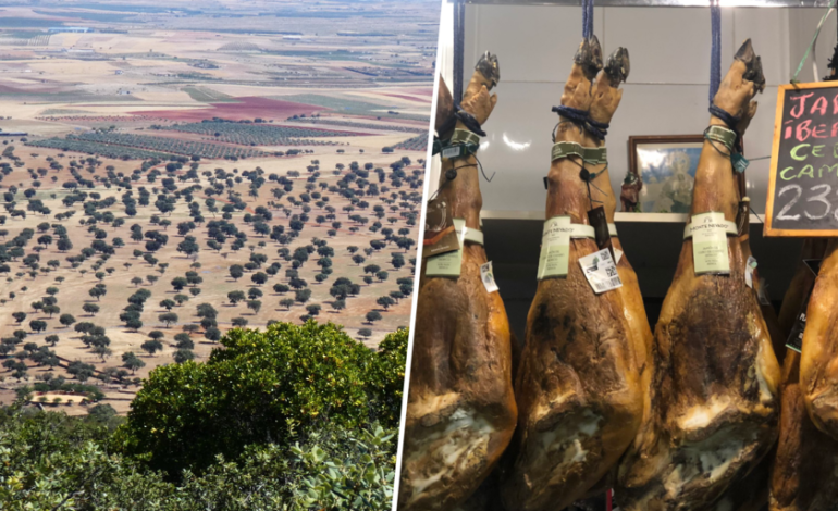  más intervención humana, no menos

 – En un click