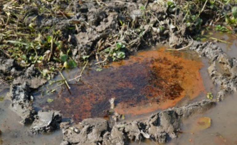  Reportan fuerte contaminación ambiental con hidrocarburos en importante pantano de Barrancabermeja que abastece de agua al municipio

 – En un click
