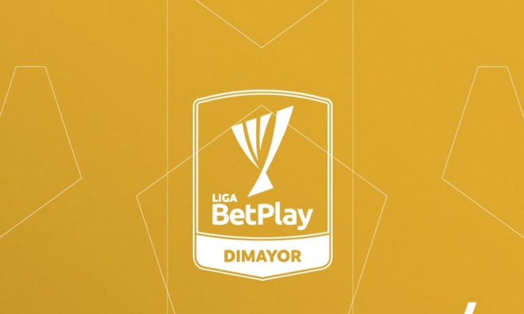  Dimayor reveló información importante para el FPC: funcionario

 – En un click