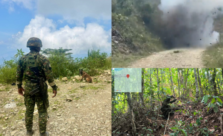  Aumentan homicidios y economías ilegales en el norte

 – En un click