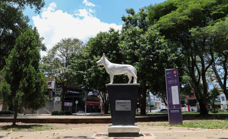  Corte ratifica decreto que prohíbe consumo de sustancias psicoactivas en parques y ambientes escolares de Cali

 – En un click