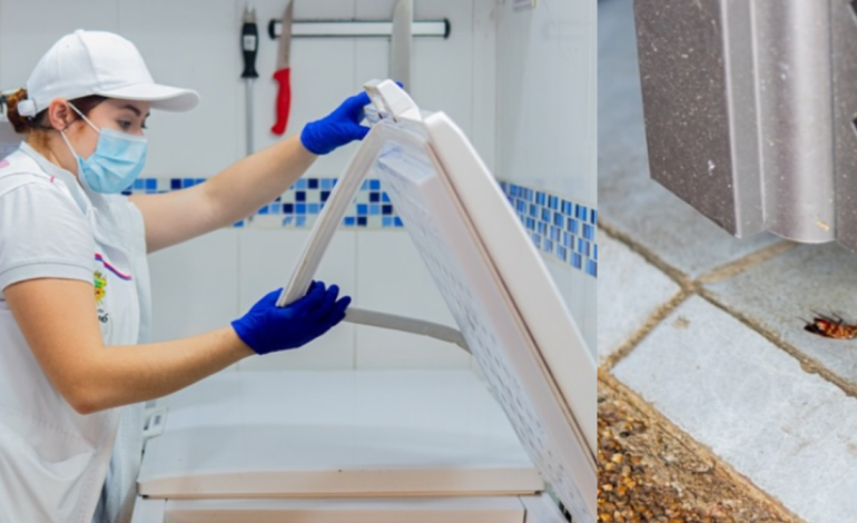  Alcaldía de Ibagué cerró tres carnicerías por presencia de cucarachas: ‘Hemos intensificado operativos’

 – En un click