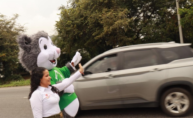 Rutas Vivas, la estrategia nacional que busca reducir las muertes por atropellos de vida silvestre en las carreteras y proteger la biodiversidad en Colombia

 – En un click