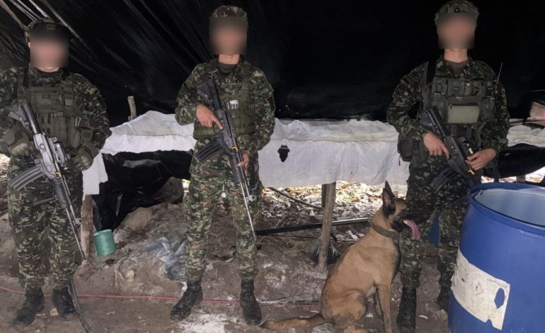  Hela es una perra que caminó 28 kilómetros hasta el Catatumbo para regresar al batallón del ejército

 – En un click